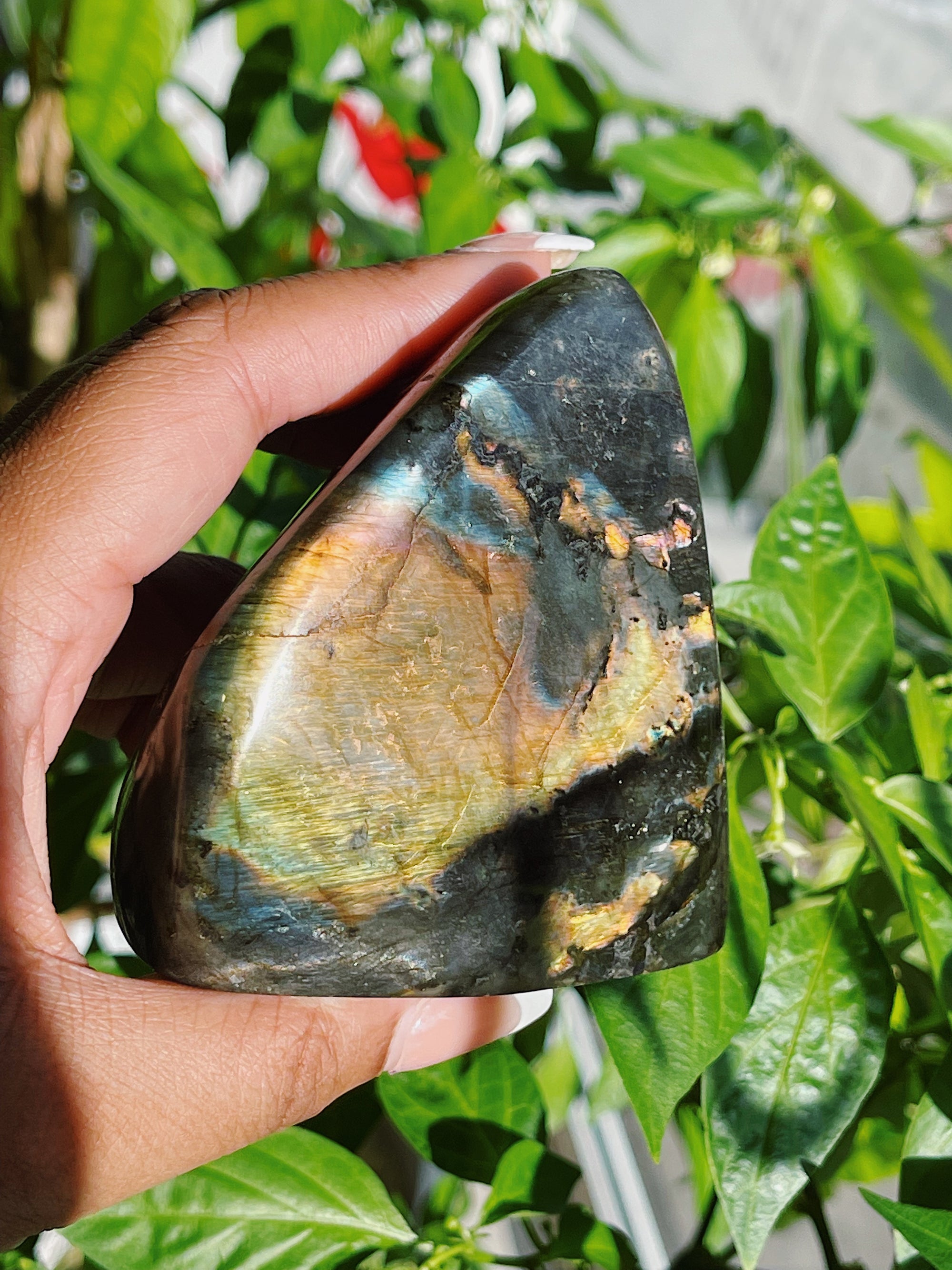 LABRADORITE